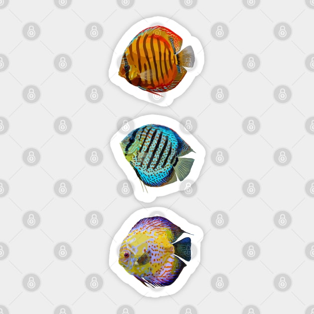 Discus Fish – Symphysodon (Cichlid) - STICKER PACK Sticker by Jahmar Anderson